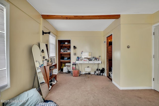 interior space with carpet floors