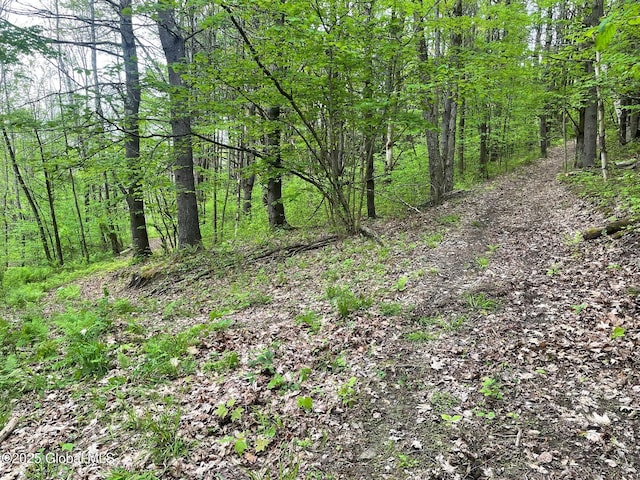 220 Mary Taylor Rd, Middleburgh, NY 12122