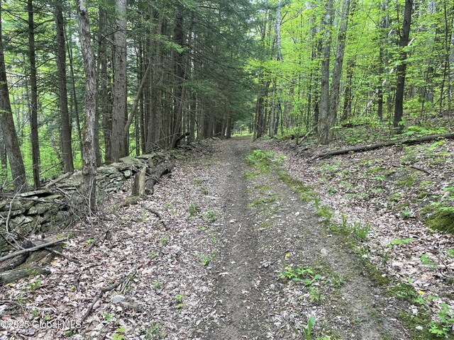 220 Mary Taylor Rd, Middleburgh, NY 12122
