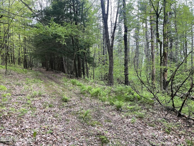 220 Mary Taylor Rd, Middleburgh, NY 12122