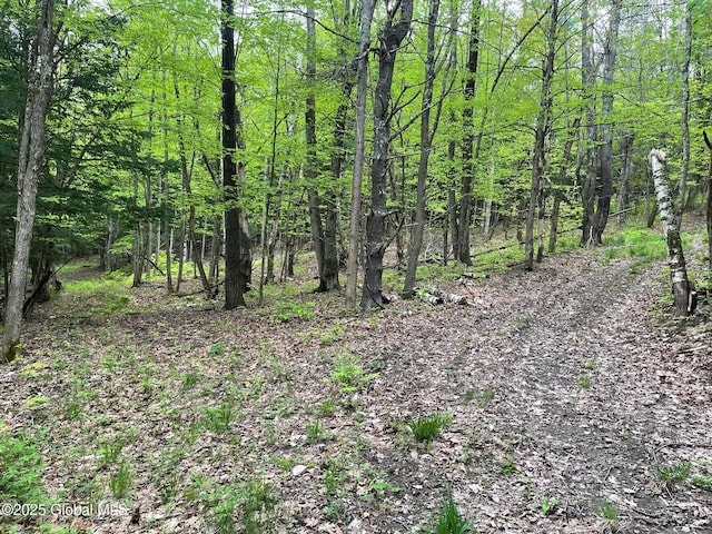220 Mary Taylor Rd, Middleburgh, NY 12122