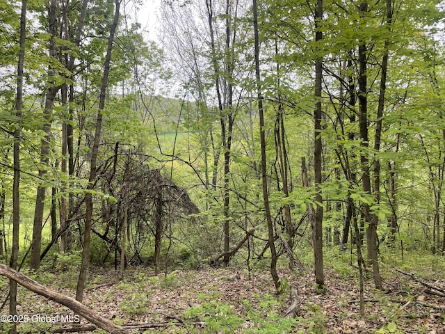 220 Mary Taylor Rd, Middleburgh, NY 12122