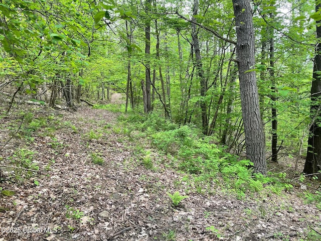220 Mary Taylor Rd, Middleburgh, NY 12122