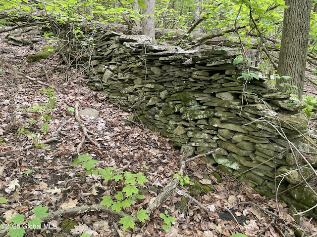 220 Mary Taylor Rd, Middleburgh, NY 12122