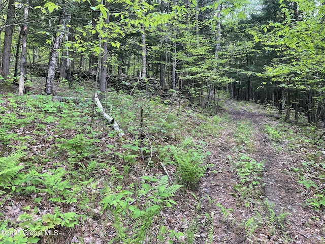 220 Mary Taylor Rd, Middleburgh, NY 12122
