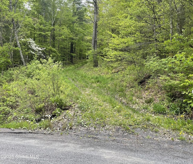 220 Mary Taylor Rd, Middleburgh, NY 12122