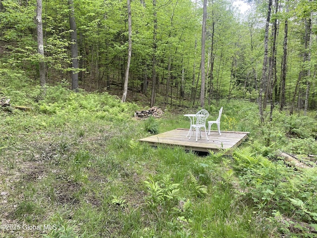 220 Mary Taylor Rd, Middleburgh, NY 12122