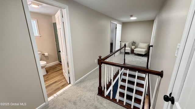 stairs featuring carpet flooring