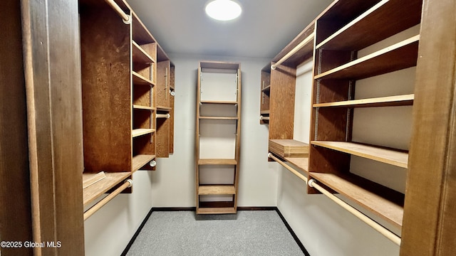 walk in closet featuring light colored carpet