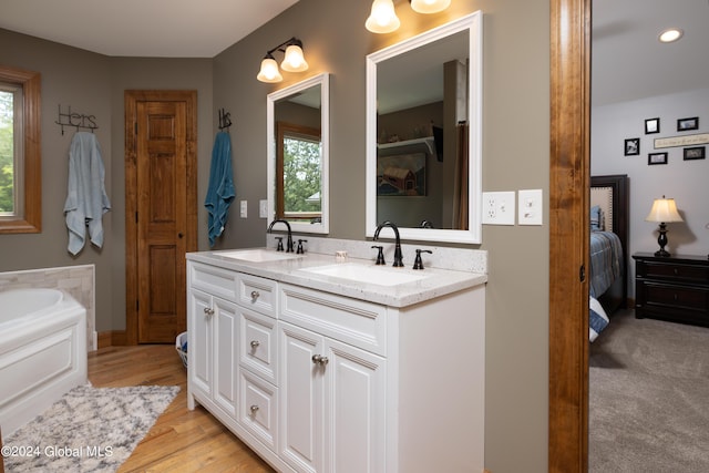 bathroom with a sink, plenty of natural light, and double vanity