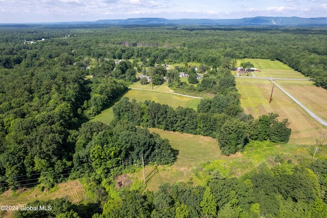 aerial view featuring a mountain view, a rural view, and a forest view