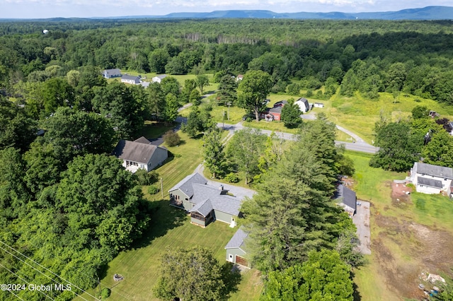 drone / aerial view with a wooded view