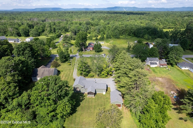 birds eye view of property featuring a mountain view and a wooded view