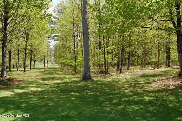 148 Lake Desolation Rd, Greenfield, NY 12850 - photo 57