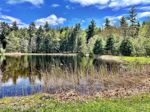 148 Lake Desolation Rd, Greenfield, NY 12850 - photo 53
