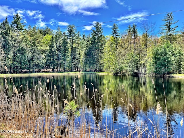 148 Lake Desolation Rd, Greenfield, NY 12850 - photo 54