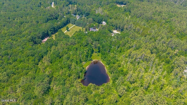 148 Lake Desolation Rd, Greenfield, NY 12850 - photo 1