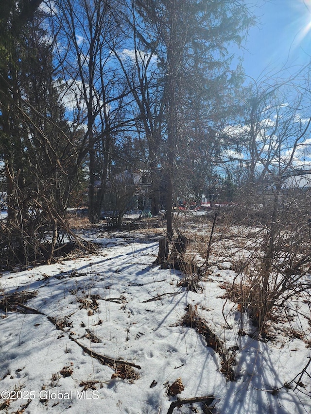 view of yard layered in snow