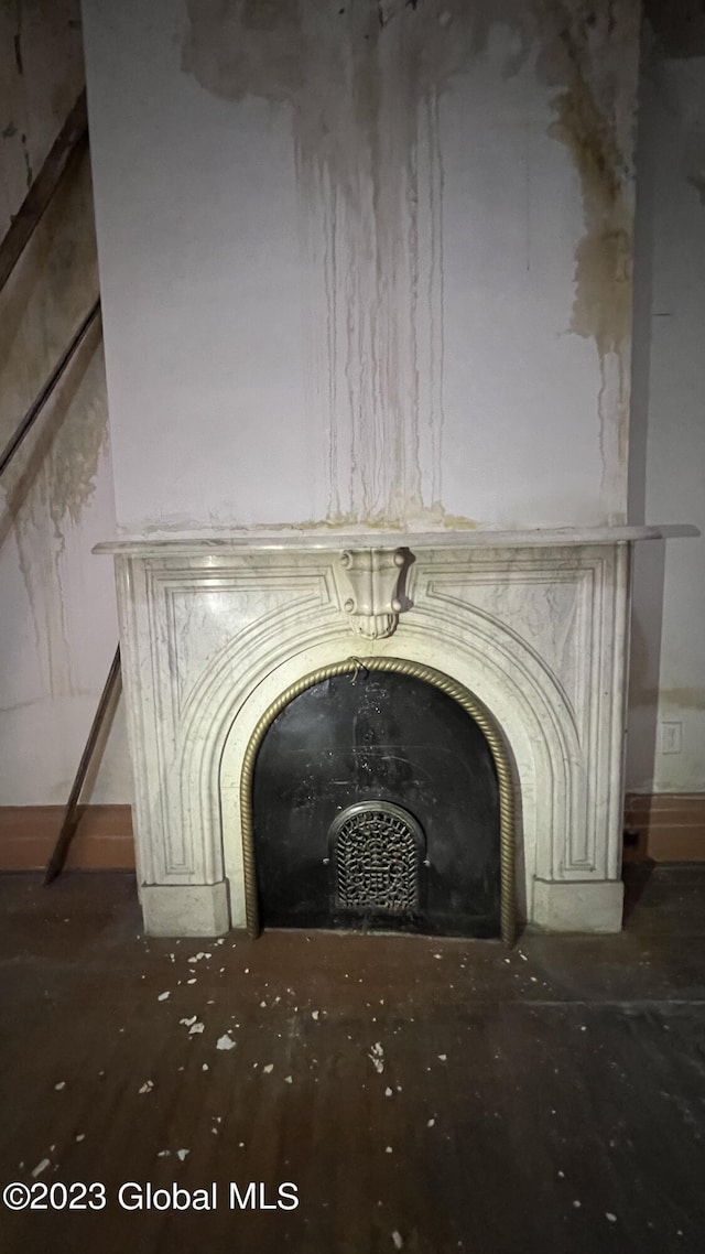 interior details featuring wood-type flooring and a fireplace