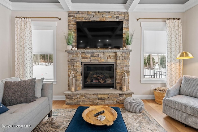 living room with crown molding, wood-type flooring, and a fireplace