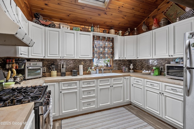 kitchen featuring tasteful backsplash, light countertops, under cabinet range hood, stainless steel appliances, and a sink