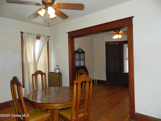 dining room with ceiling fan, radiator heating unit, and dark hardwood / wood-style flooring