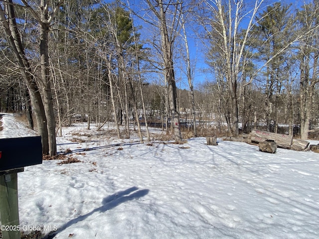 view of yard covered in snow