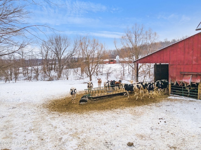 snowy yard with an outbuilding