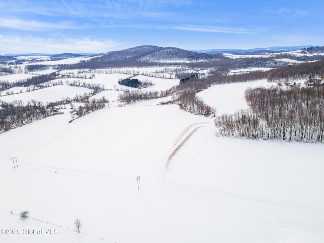 snowy aerial view with a mountain view