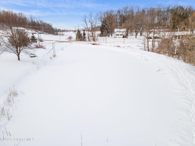 view of snowy yard