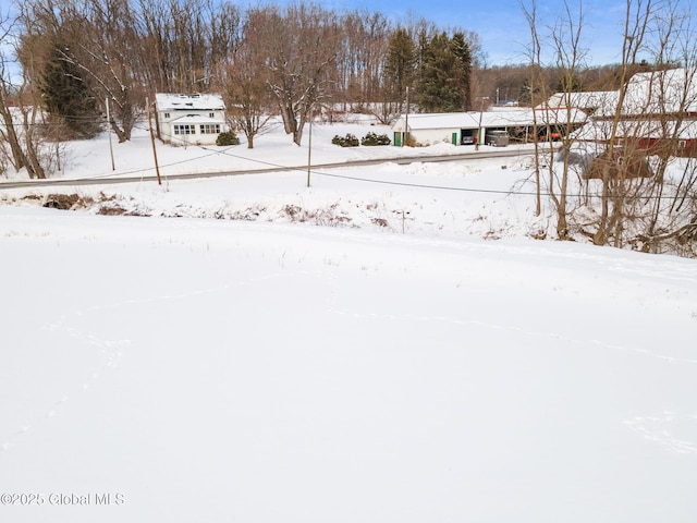 view of yard covered in snow