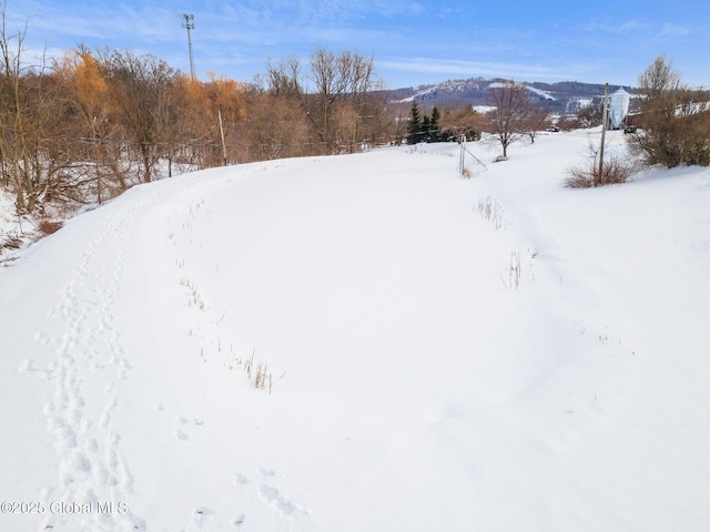 yard layered in snow featuring a mountain view