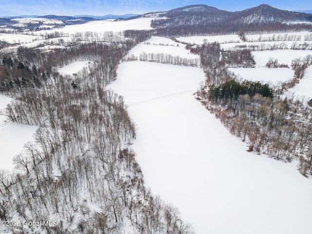 snowy aerial view with a mountain view