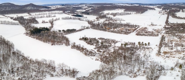 snowy aerial view with a mountain view