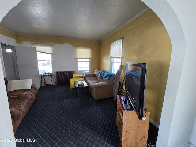 living room featuring ornamental molding, radiator, and carpet