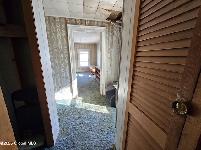 corridor featuring carpet floors