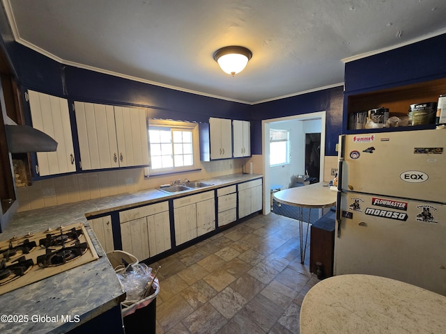 kitchen featuring gas cooktop, a healthy amount of sunlight, sink, and white fridge