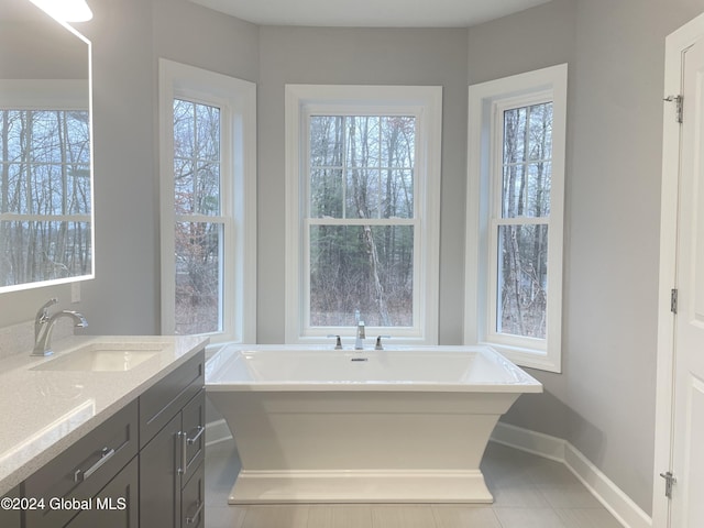 bathroom with vanity and a bathtub