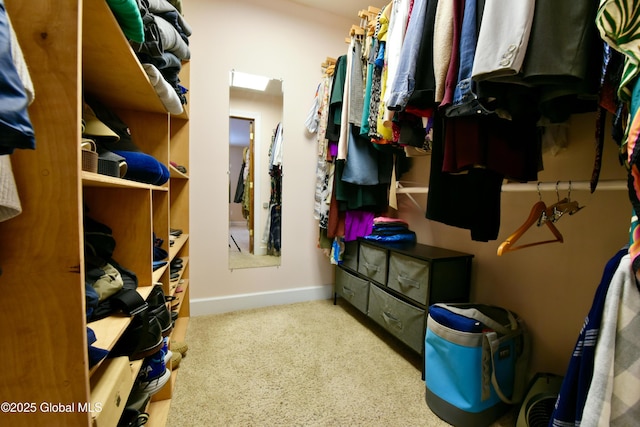 view of walk in closet