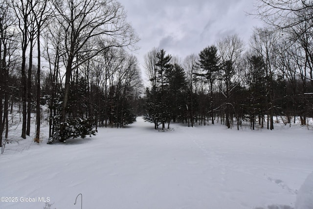 view of yard layered in snow