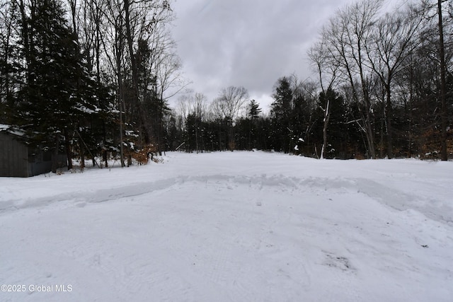 view of snowy yard