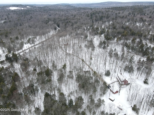 drone / aerial view featuring a wooded view