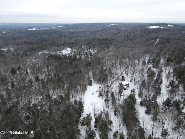 birds eye view of property featuring a wooded view