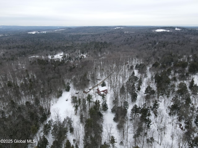 bird's eye view with a wooded view