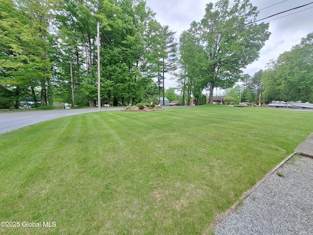 193 Hadlock Pond Rd, Fort Ann, NY 12827 - view of green lawn