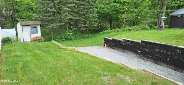 193 Hadlock Pond Rd, Fort Ann, NY 12827 - view of yard featuring a shed and an outbuilding
