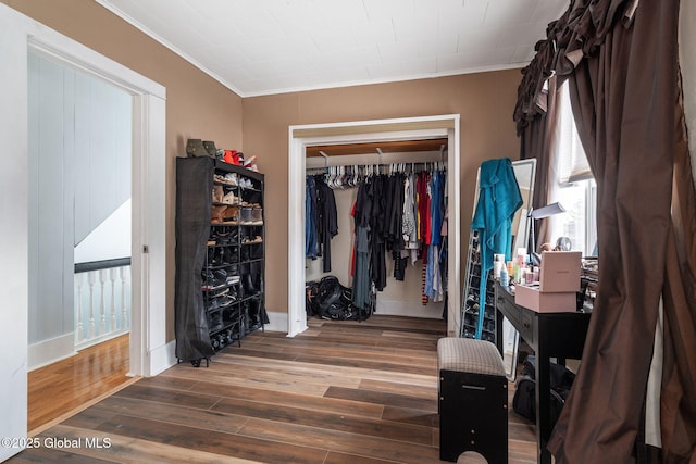 interior space with dark hardwood / wood-style flooring