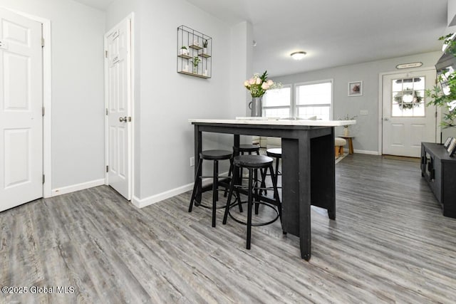 dining space with hardwood / wood-style floors