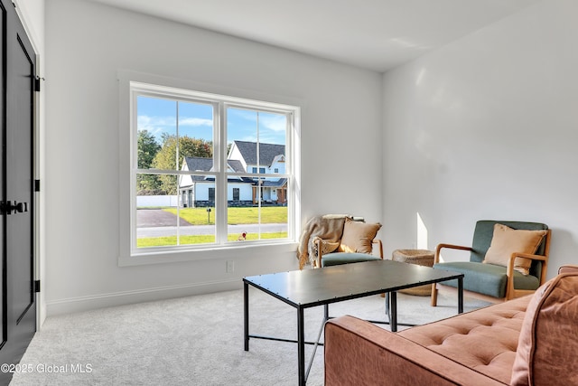 116 Schuurman Rd, Schodack, NY 12033 - photo 29