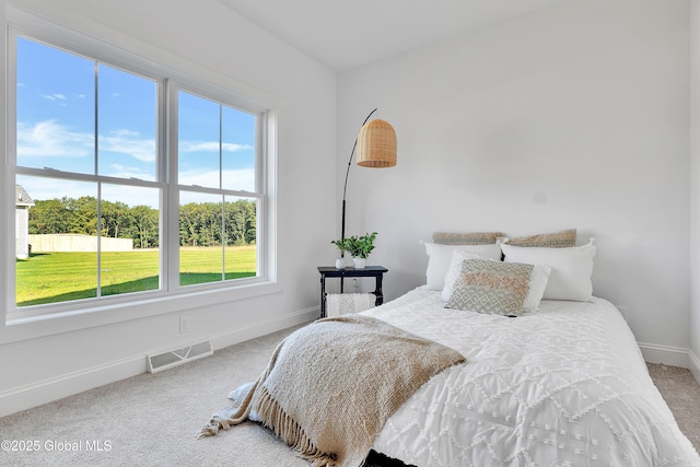 116 Schuurman Rd, Schodack, NY 12033 - photo 27